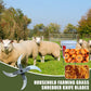 Household Farming Grass Shredder Knife Blades