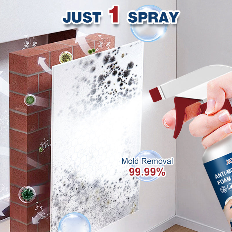 Buy 2 Get 1 Free🔥Foam cleaning mold remover spray