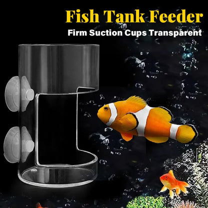 🐟Aquarium Feeding Ring and Tray