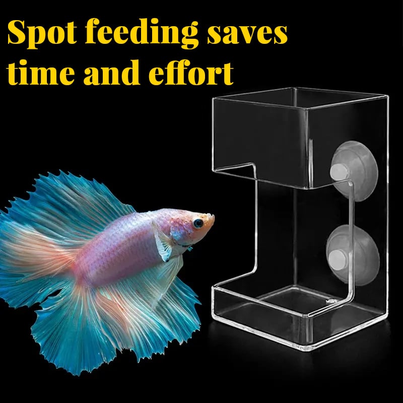 🐟Aquarium Feeding Ring and Tray