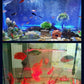 LED Aquarium Colorful Air Bubble Light