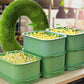 🔥Stackable Bean Sprout Growing Box - Multi-layer Design, Perfect for Home Cultivation, Healthy Green Living!