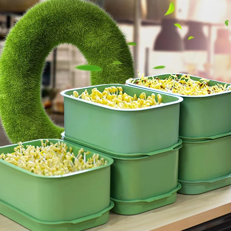 🔥Stackable Bean Sprout Growing Box - Multi-layer Design, Perfect for Home Cultivation, Healthy Green Living!