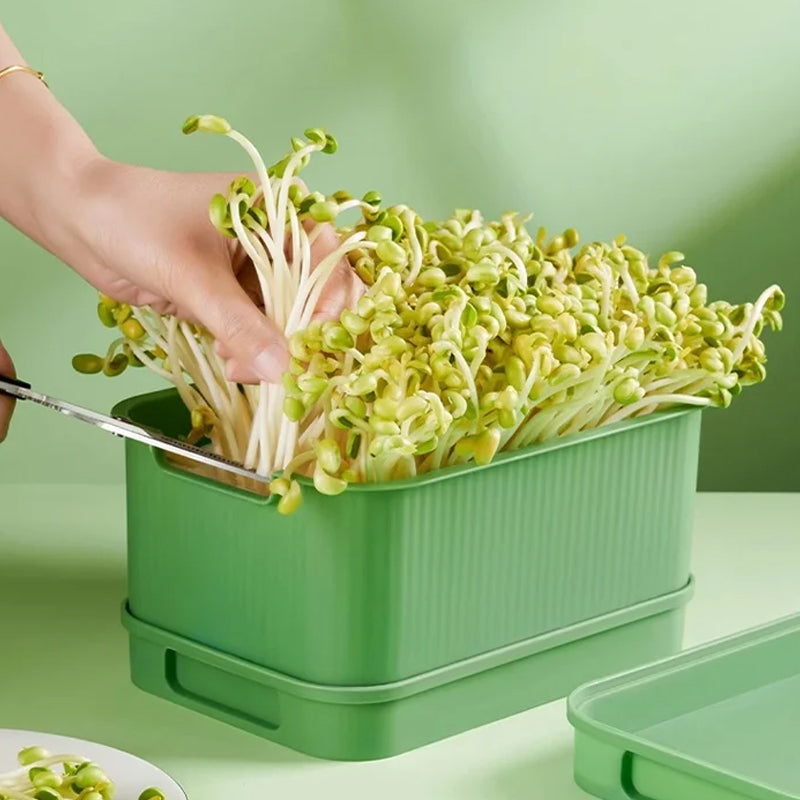 🔥Stackable Bean Sprout Growing Box - Multi-layer Design, Perfect for Home Cultivation, Healthy Green Living!