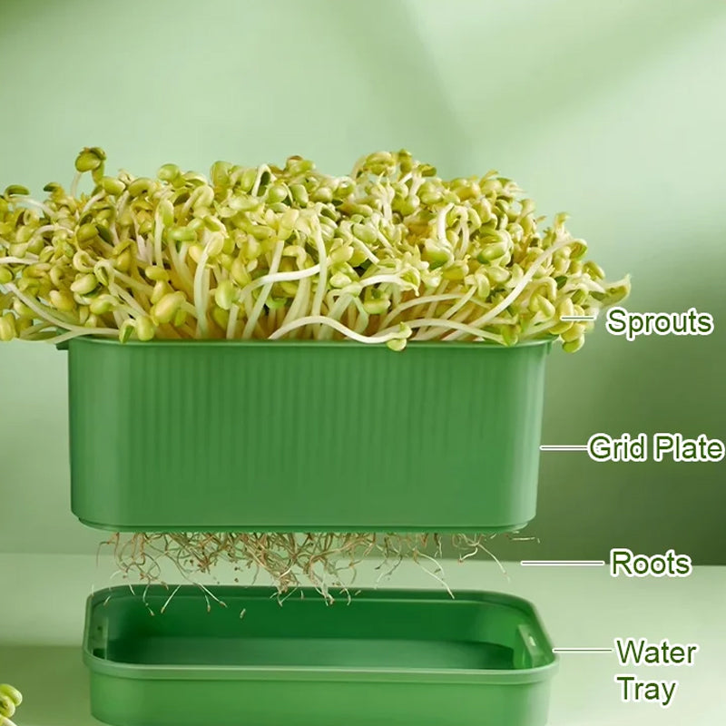 🔥Stackable Bean Sprout Growing Box - Multi-layer Design, Perfect for Home Cultivation, Healthy Green Living!