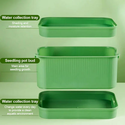 🔥Stackable Bean Sprout Growing Box - Multi-layer Design, Perfect for Home Cultivation, Healthy Green Living!