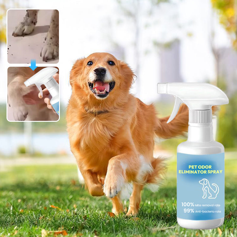 🐱🐶Pet Odor Eliminator Spray🍃