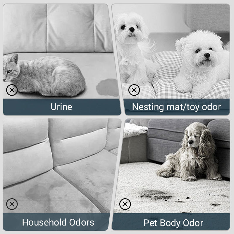 🐱🐶Pet Odor Eliminator Spray🍃