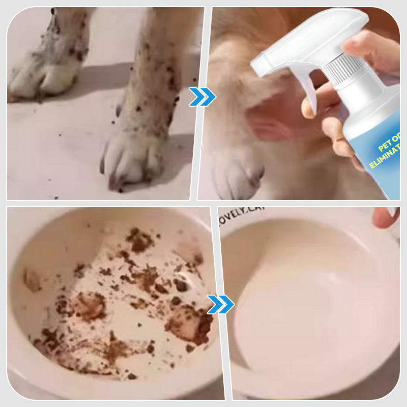 🐱🐶Pet Odor Eliminator Spray🍃