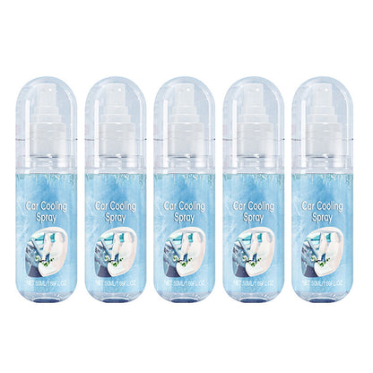 Car Cooling Spray for Hot Weather