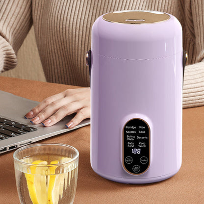 💖Most popular in 2025💖 1L Multifunction Portable Electric Stewpot
