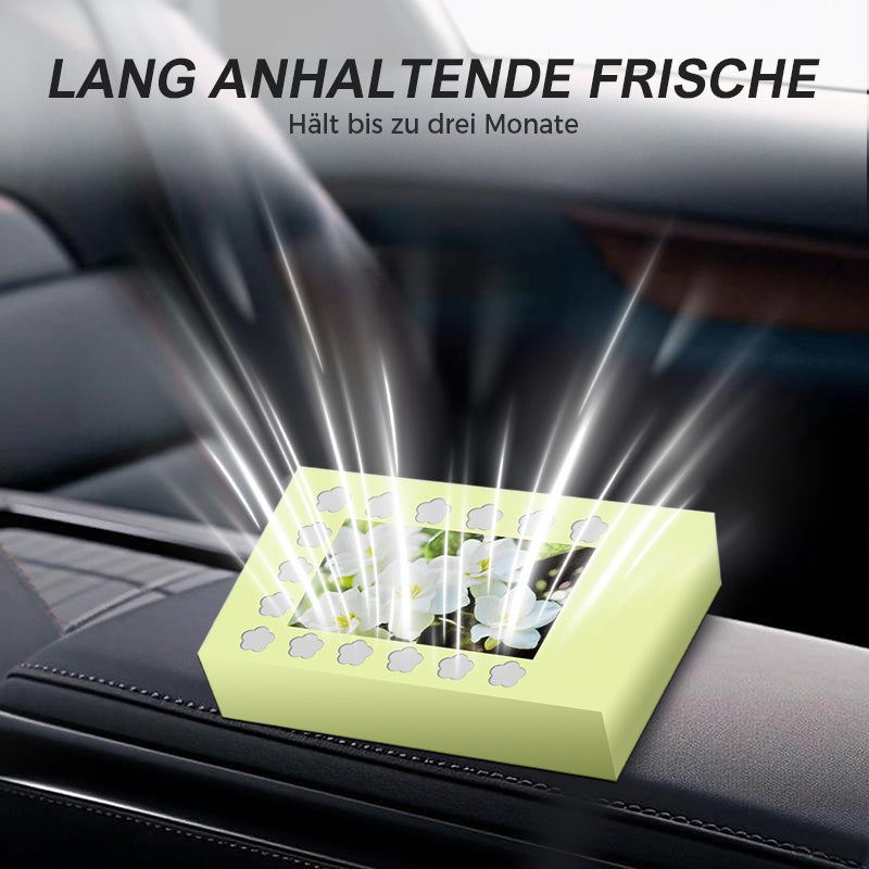 Long Lasting Natural Car Air Freshener