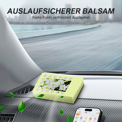 Long Lasting Natural Car Air Freshener