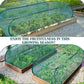 ⏳Limited-time 50% off⏰Pop-Up Plant Protection Mesh Cover🌱🛡️