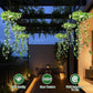💡Solar Ivy Lights – Charming Outdoor Decor 🌿