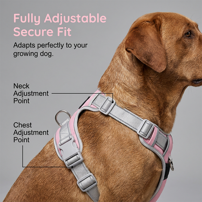No-Pull Dog Harness
