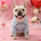 🎉 2026 Sale — Over 28 400 Sold!🔥 Cute Princess Denim Dog Jacket