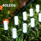 Solar Powered Pathway Stake Light