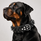 Spiked PU Leather Dog Collar