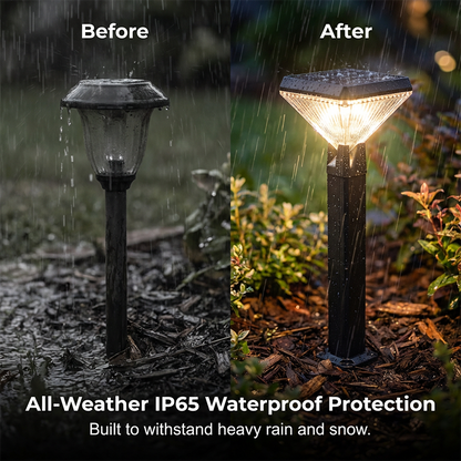 Solar Powered Waterproof Garden Lights