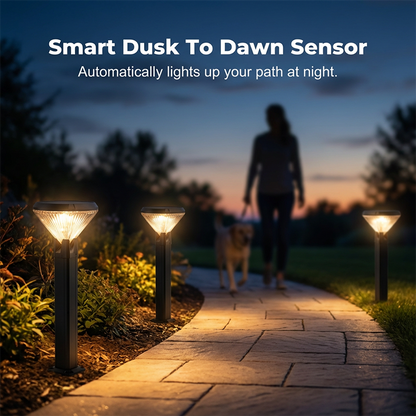 Solar Powered Waterproof Garden Lights