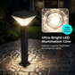 Solar Powered Waterproof Garden Lights