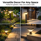Solar Powered Waterproof Garden Lights